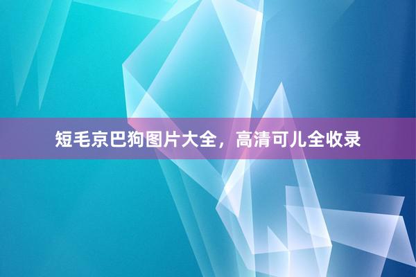 短毛京巴狗图片大全，高清可儿全收录