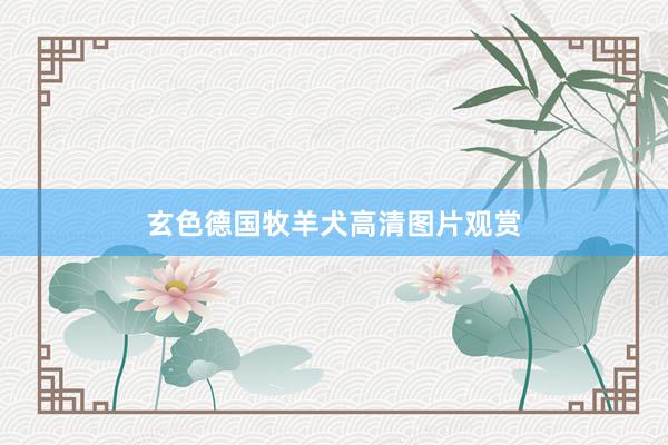 玄色德国牧羊犬高清图片观赏